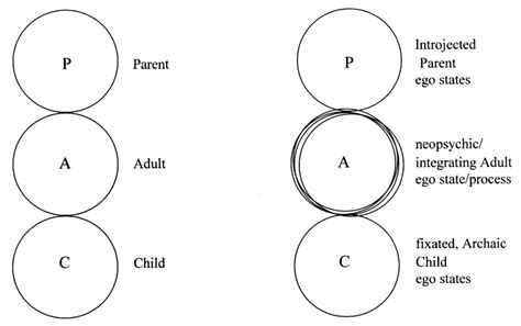 a b Ego States Integrating Adult Model of Personality (based on 